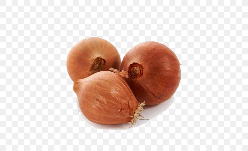 Yellow Onion Shallot, PNG, 500x500px, Watercolor, Cartoon, Flower, Frame, Heart Download Free