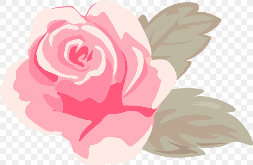 Garden Roses, PNG, 3000x1958px, Pink Rose, Flower, Garden Roses, Hybrid Tea Rose, Petal Download Free