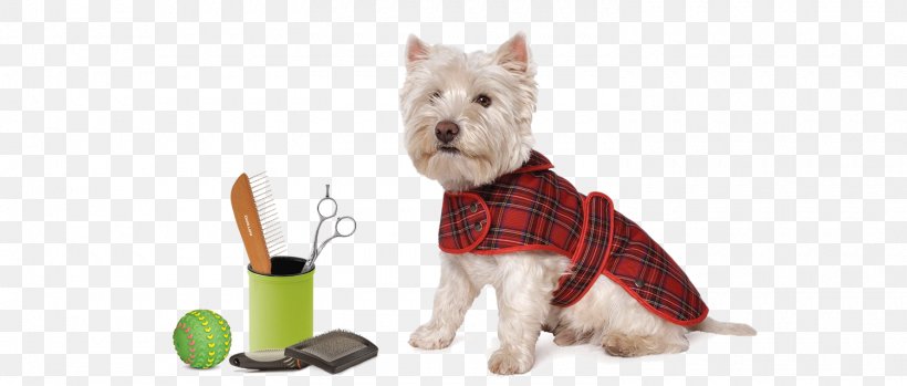 West Highland White Terrier Scottish Terrier Puppy Tartan Coat, PNG, 1500x639px, West Highland White Terrier, Carnivoran, Clothing, Coat, Dog Download Free