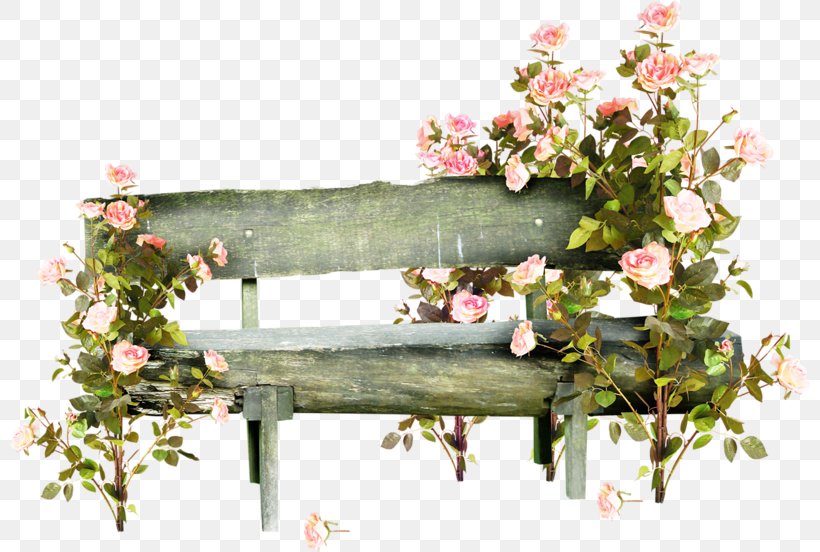 Flower Clip Art, PNG, 800x552px, Flower, Chair, Email, Flora, Floral Design Download Free