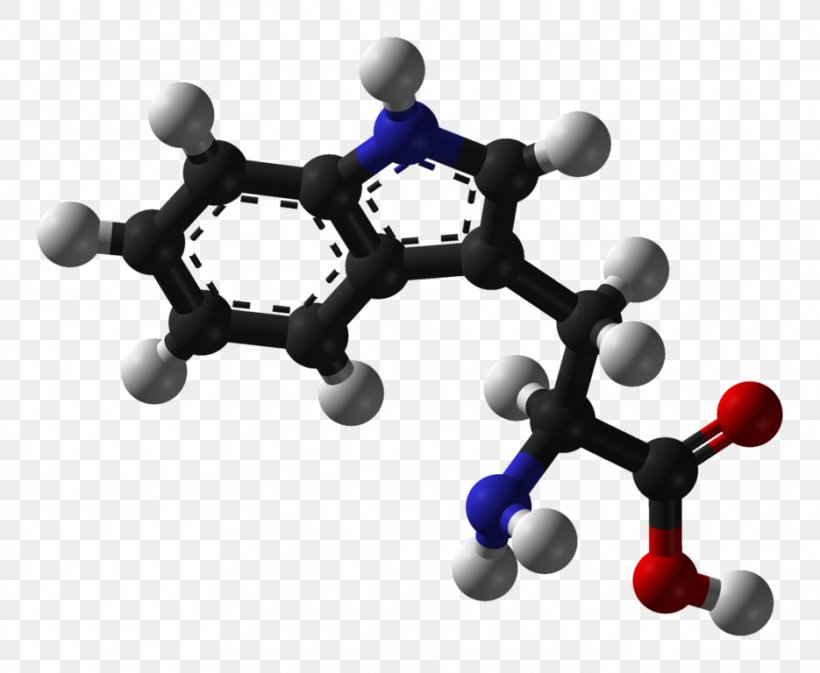 Tryptophan Amino Acid Phenylalanine Stereoisomerism, PNG, 935x768px, Tryptophan, Acid, Amino Acid, Aromatic Amino Acid, Body Jewelry Download Free