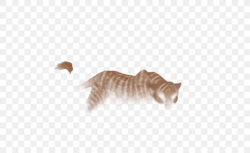 Whiskers Cat Fauna Tail, PNG, 640x500px, Whiskers, Carnivoran, Cat, Cat Like Mammal, Fauna Download Free