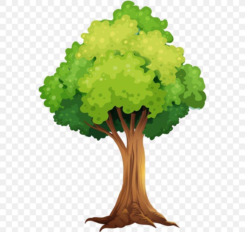 Green Leaf Background, PNG, 563x776px, Tree, Branch, Flower, Green, Leaf Download Free