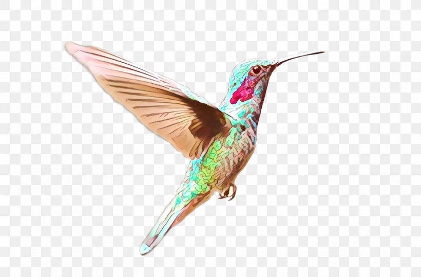 Hummingbird Fauna Beak Feather, PNG, 960x632px, Hummingbird, Beak, Bird, Coraciiformes, Fauna Download Free
