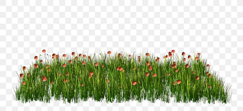 Simple Flower, PNG, 750x375px, Photography, Commodity, Grass, Grass Family, Meadow Download Free