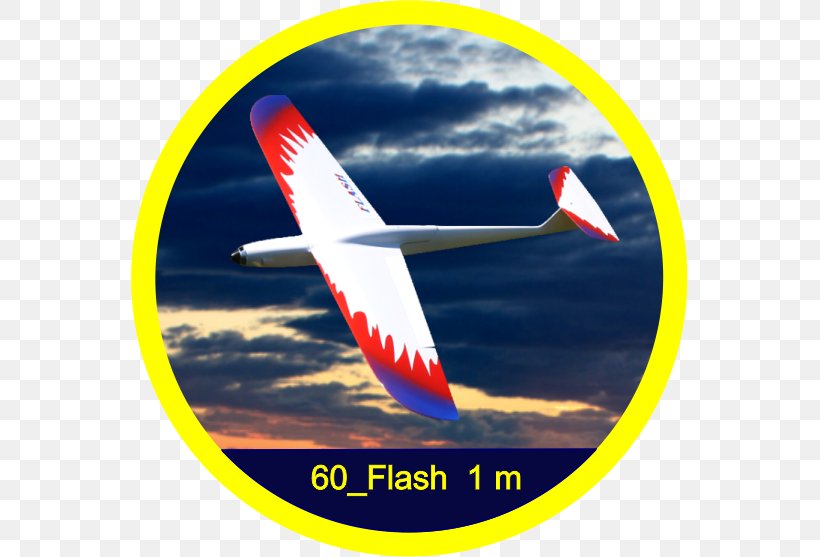 Air Travel Airplane Flight Airline Narrow-body Aircraft, PNG, 557x557px, Air Travel, Aerospace Engineering, Aircraft, Airline, Airliner Download Free