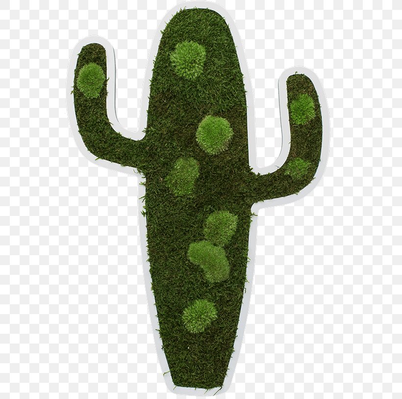 Forest Pictogram Ruler Drawing Centimeter, PNG, 557x813px, Forest, Biuras, Cactus, Centimeter, Cushion Download Free