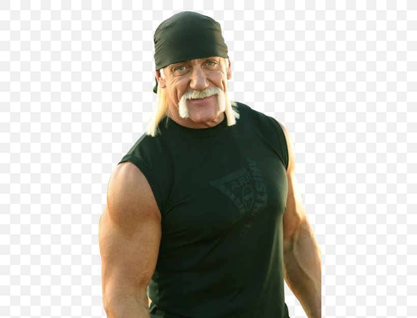 Hulk Hogan Celebrity Here Comes Honey Boo Boo Facial Hair, PNG, 445x624px, Hulk Hogan, Arm, Cap, Celebrity, Eyebrow Download Free