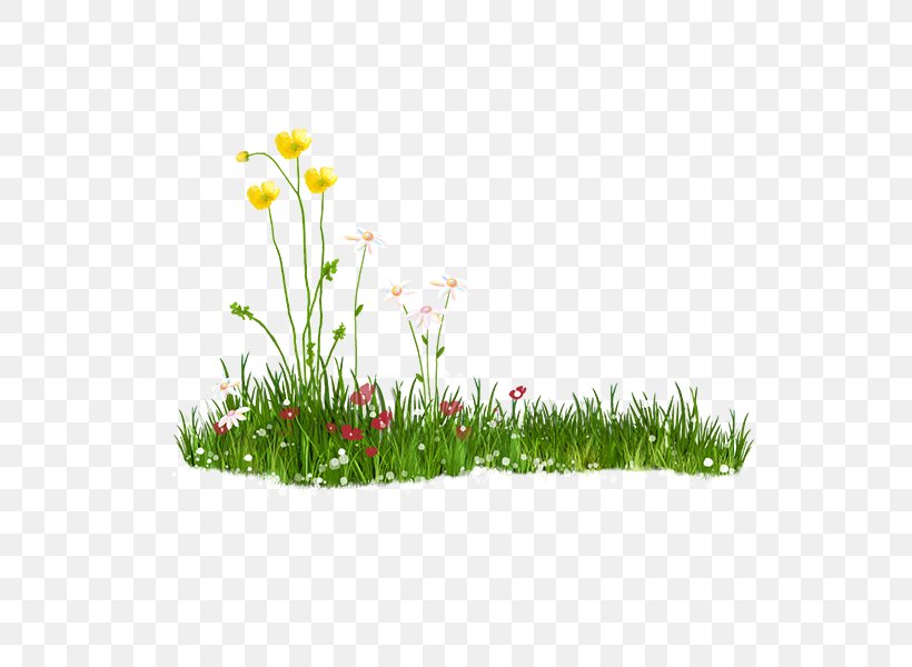Lawn Download Clip Art, PNG, 600x600px, Lawn, Flower, Flowering Plant, Flowerpot, Grass Download Free