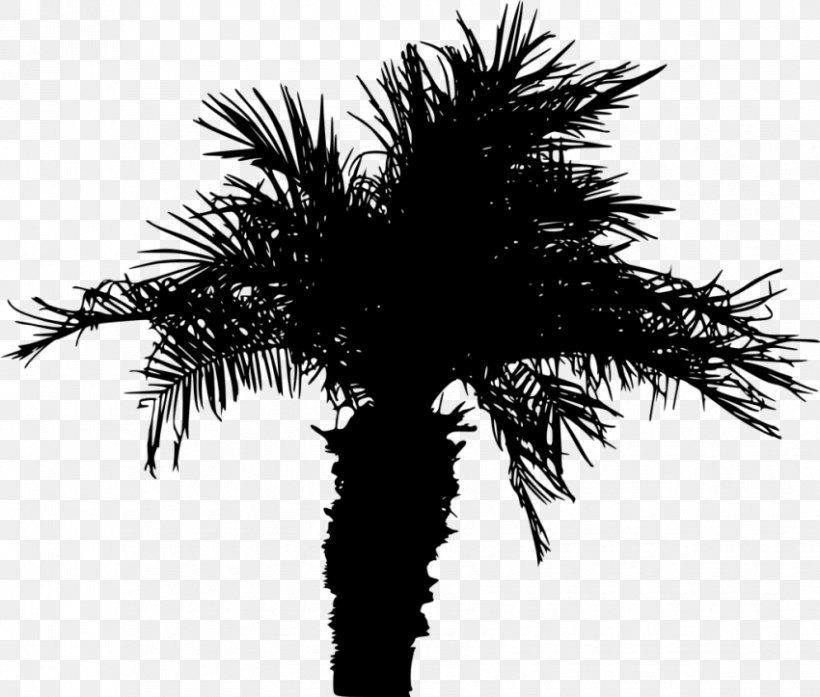 Palm Tree Silhouette, PNG, 850x723px, Palm Trees, Arecales, Attalea Speciosa, Borassus Flabellifer, California Palm Download Free