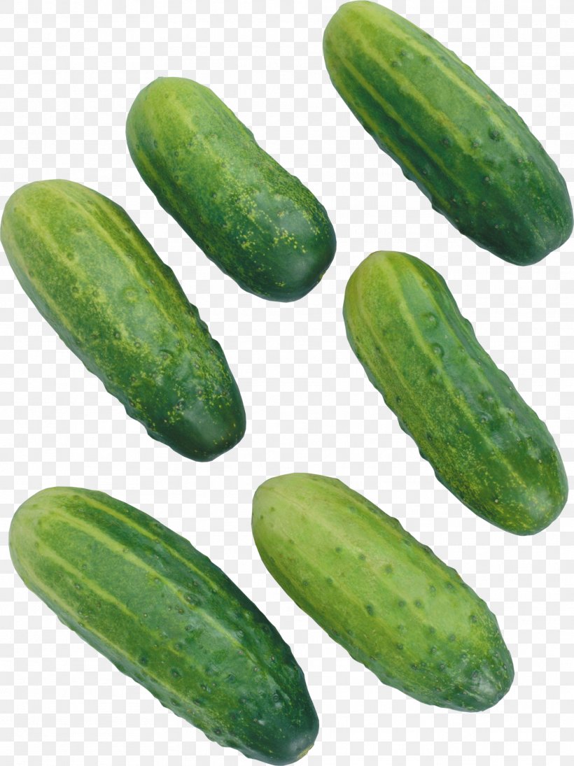 Pickled Cucumber Vegetable Hot Dog Tomato, PNG, 1872x2500px, Cucumber, Auglis, Brined Pickles, Cucumber Gourd And Melon Family, Cucumis Download Free
