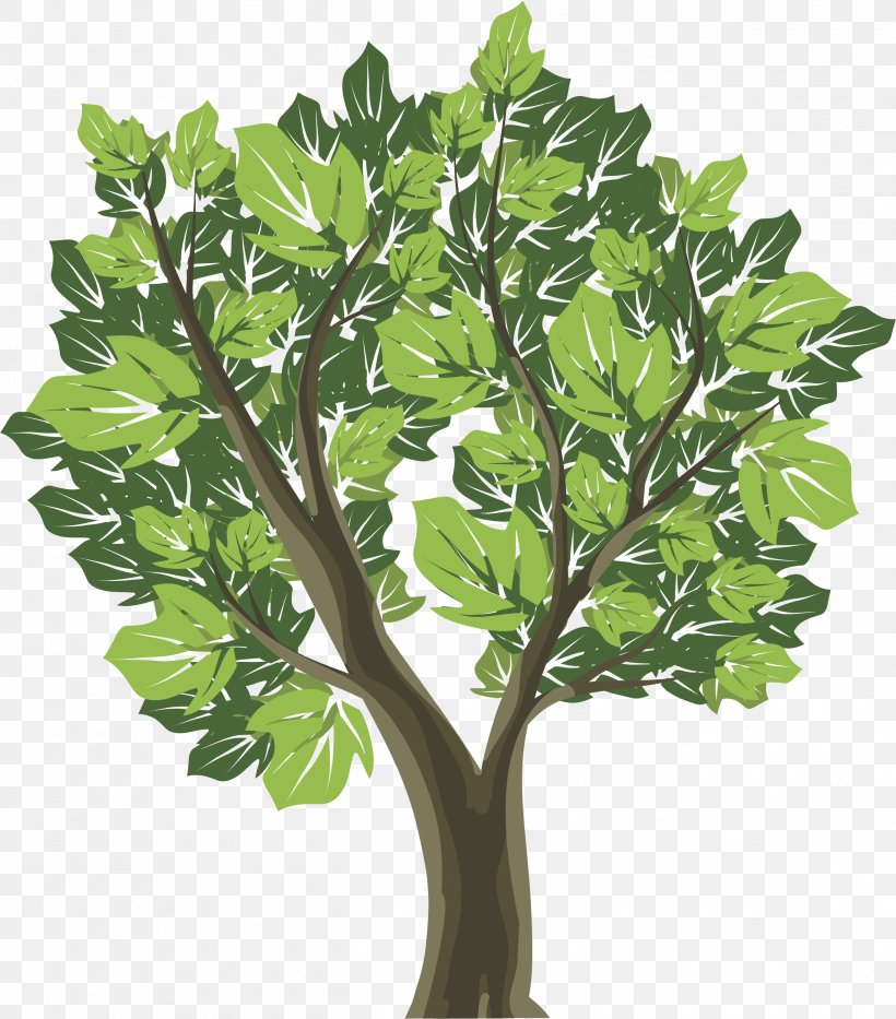Tree Graphic Design Royalty-free, PNG, 2636x3001px, Tree, Art, Branch, Color, Evergreen Download Free