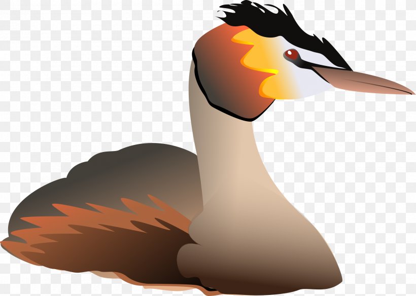 Water Bird Great Crested Grebe Goose Clip Art, PNG, 2400x1711px, Bird, Anatidae, Beak, Duck, Ducks Geese And Swans Download Free