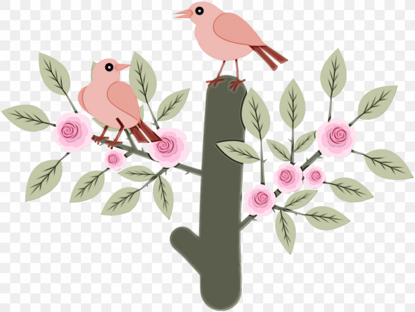 Bird Branch Pink Plant Flower, PNG, 1143x861px, Watercolor, Beak, Bird, Blossom, Branch Download Free
