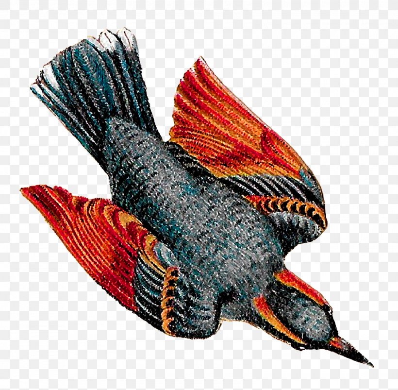 Bird Drawing Clip Art, PNG, 1600x1568px, Bird, Art, Art On Paper, Beak, Bird Flight Download Free