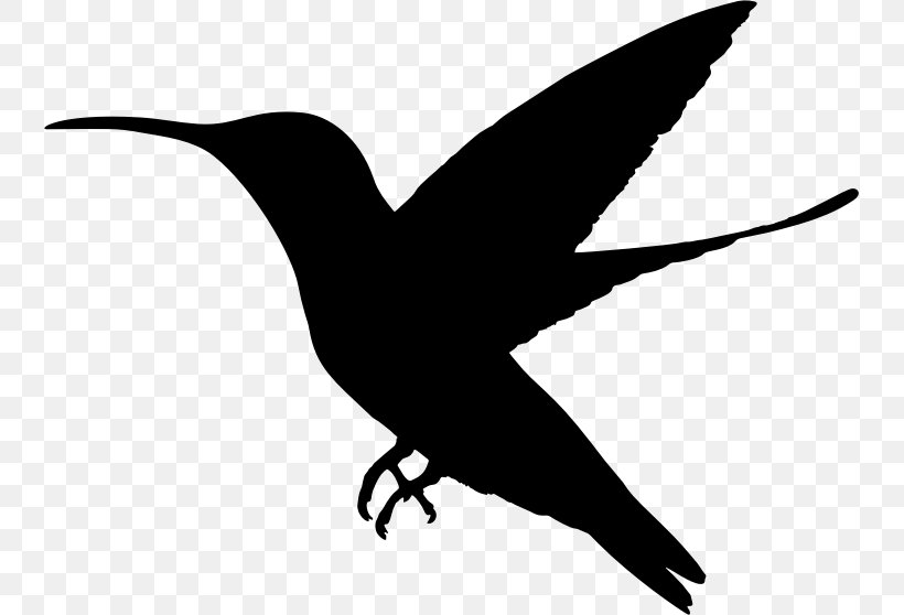 Black-chinned Hummingbird Duck Clip Art, PNG, 739x558px, Hummingbird, Animal, Beak, Bird, Bird Feeders Download Free