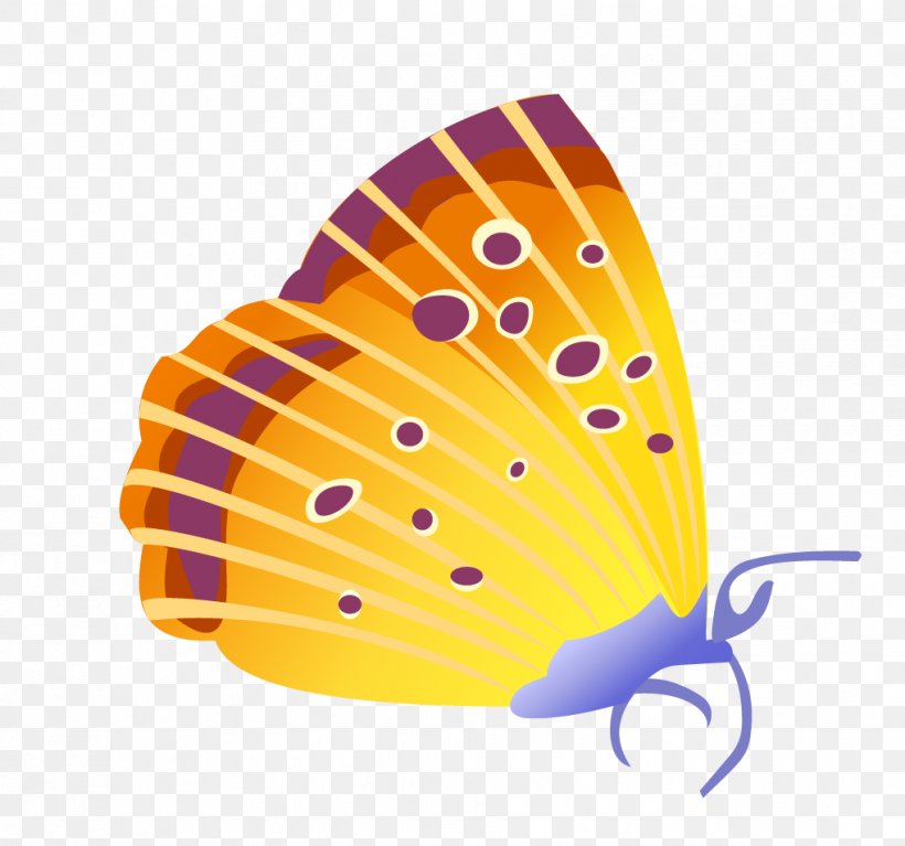 Butterfly Insect Cdr Euclidean Vector, PNG, 1019x954px, Butterfly, Cartoon, Cdr, Coreldraw, Inkscape Download Free
