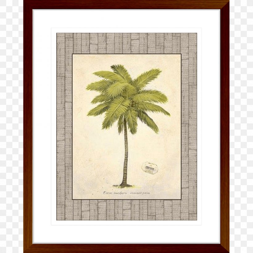 Coconut Art Tree Arecaceae, PNG, 1000x1000px, Coconut, Arecaceae, Art, Art Deco, Date Palm Download Free