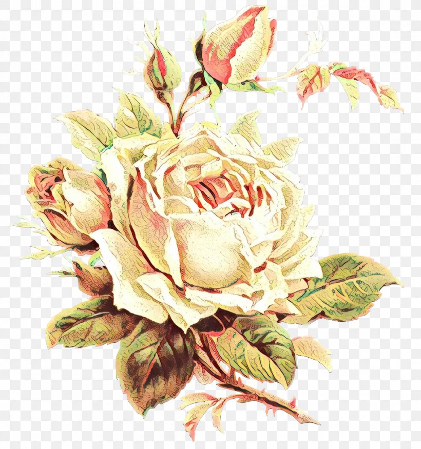 Garden Roses, PNG, 1097x1171px, Cartoon, Cut Flowers, Flower, Garden Roses, Petal Download Free