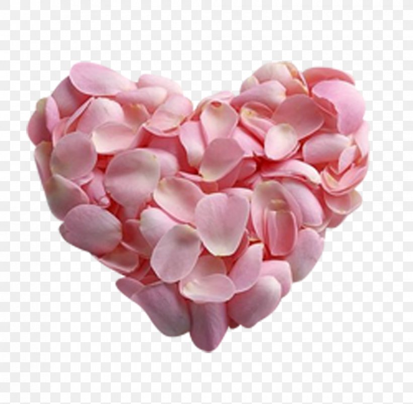 Petal Pink Rose Flower Heart, PNG, 1020x1000px, Petal, Color, Dia Dos Namorados, Drawing, Flower Download Free