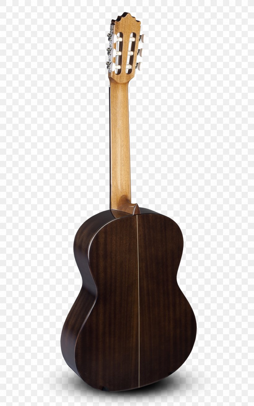 Alhambra Classical Guitar Fingerboard Rosewood, PNG, 1250x2000px, Alhambra, Acoustic Electric Guitar, Acoustic Guitar, Cavaquinho, Cedar Download Free
