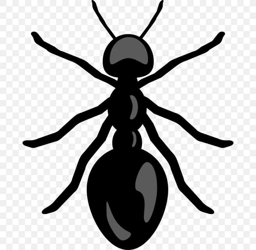 Ants Clip Art, PNG, 676x800px, Ant, Ants, Arthropod, Artwork, Black And White Download Free