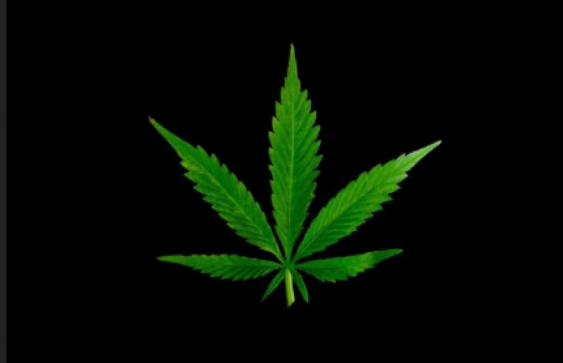 Cannabis High-definition Television Desktop Wallpaper High-definition Video  Leaf, PNG, 1110x715px, 4k Resolution, Cannabis, Display