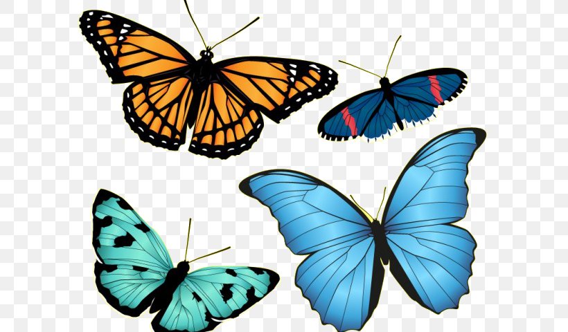 Drawing Download, PNG, 626x480px, Drawing, Arthropod, Brush Footed Butterfly, Butterfly, Image File Formats Download Free