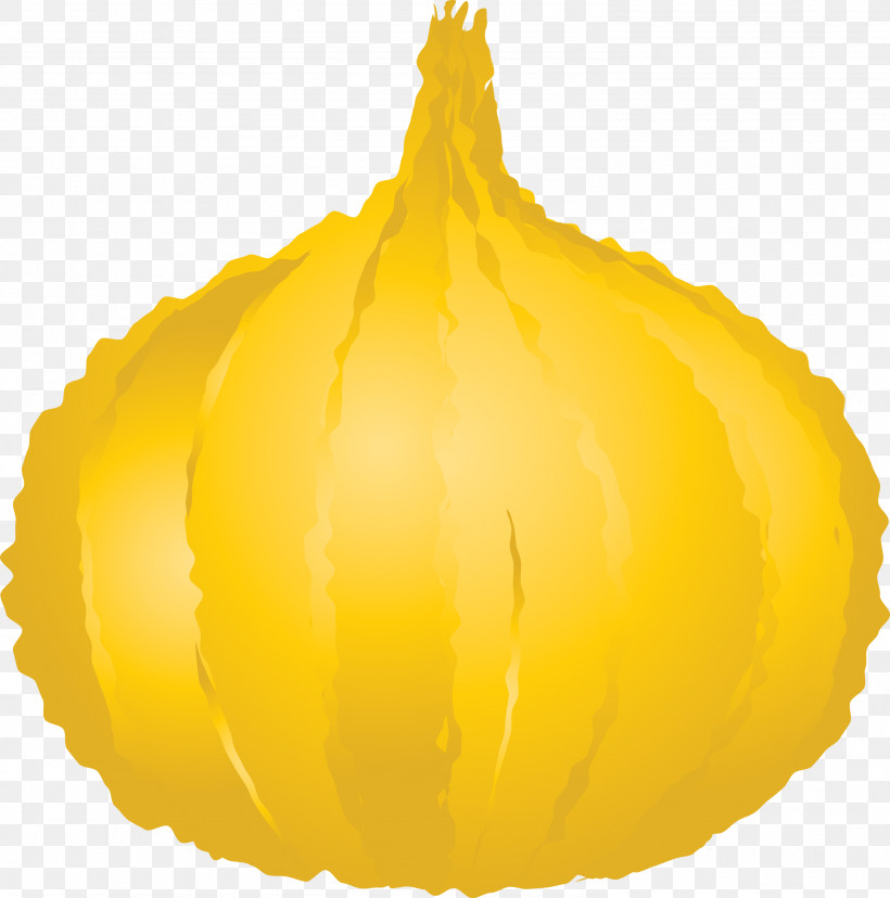 Onion, PNG, 2970x3000px, Onion, Commodity, Fruit, Squash, Vegetable Download Free