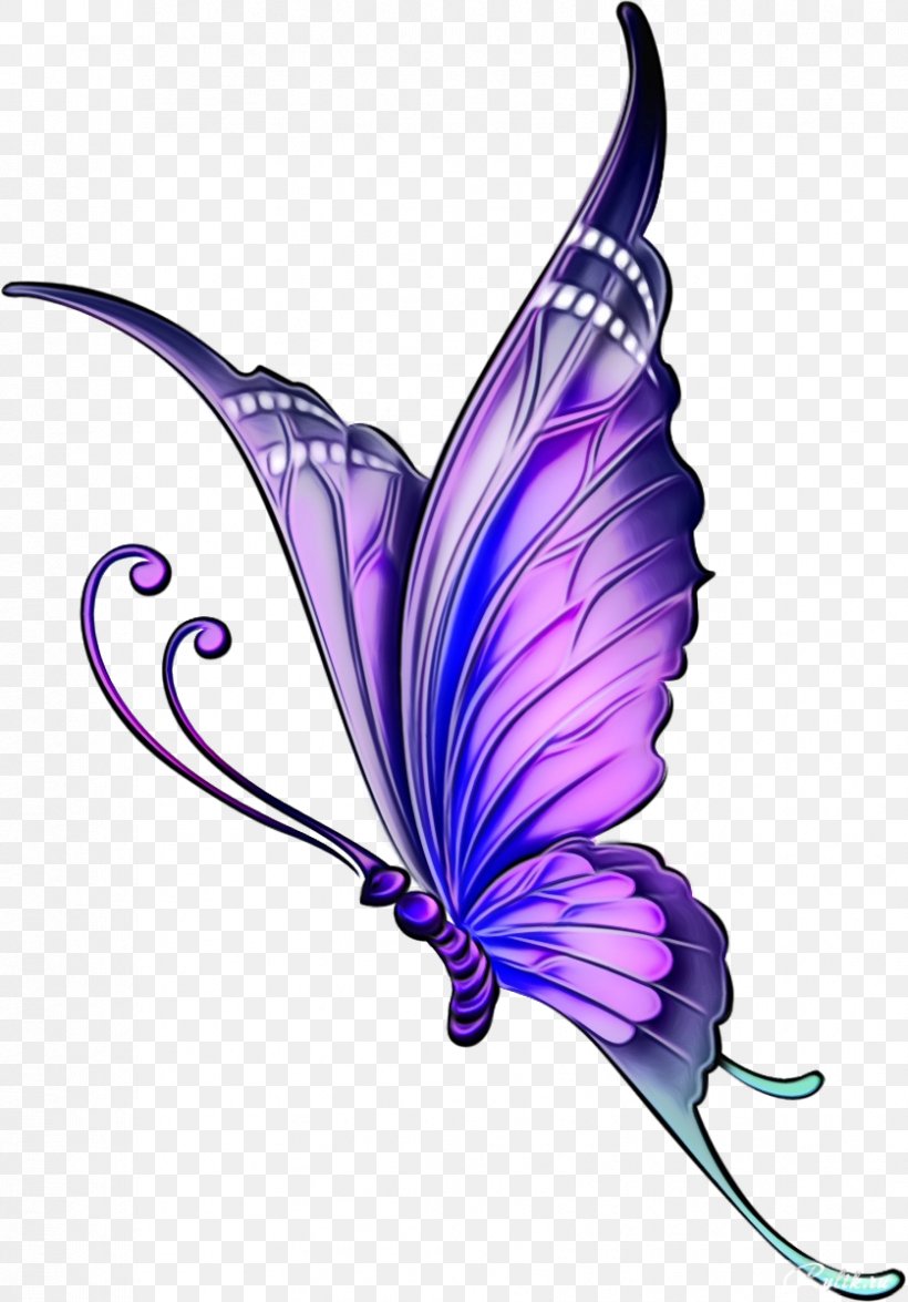 Violet Butterfly Purple Moths And Butterflies Pollinator, PNG, 837x1200px, Watercolor, Butterfly, Insect, Moths And Butterflies, Paint Download Free