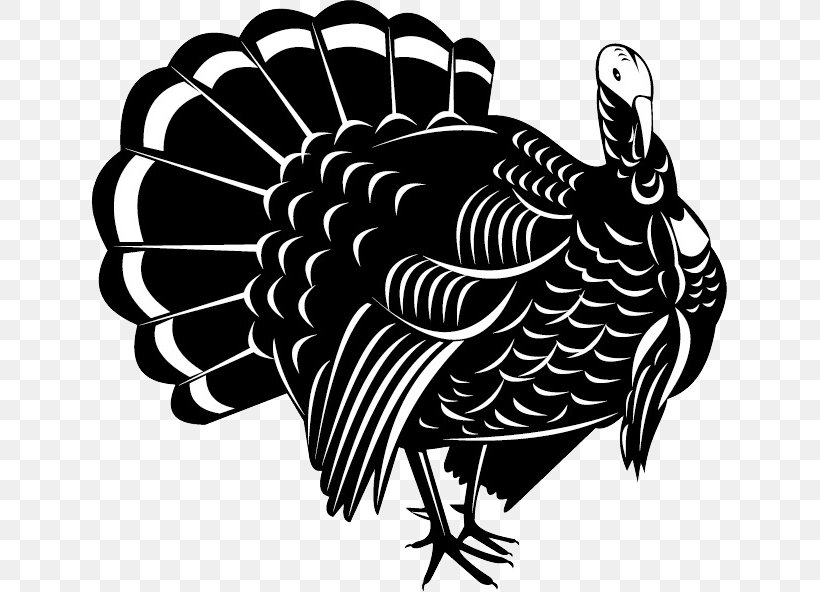 Wild Turkey Vector Graphics Illustration Stock Photography, PNG, 635x592px, Wild Turkey, Bird, Blackandwhite, Domesticated Turkey, Galliformes Download Free