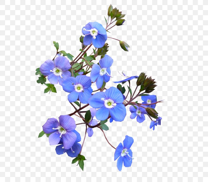 Cut Flowers T-shirt Flower Bouquet Blue, PNG, 752x720px, Flower, Artificial Flower, Blue, Blue Flower, Blue Rose Download Free