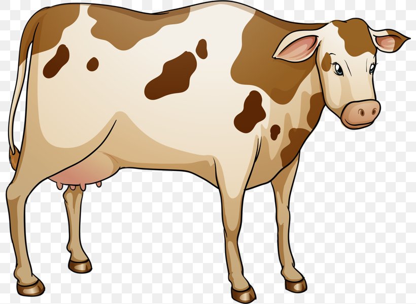 Lakenvelder Cattle Royalty-free Illustration, PNG, 800x601px, Lakenvelder Cattle, Bull, Cattle, Cattle Like Mammal, Cow Goat Family Download Free