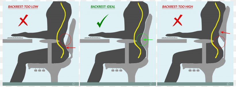 Low Back Pain Office & Desk Chairs Lumbar Sitting, PNG, 5268x1956px, Back Pain, Coccyx, Cushion, Foot, Human Back Download Free