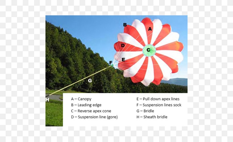 Parachute Parachuting Paragliding Free Fall Advertising, PNG, 500x500px, Watercolor, Cartoon, Flower, Frame, Heart Download Free