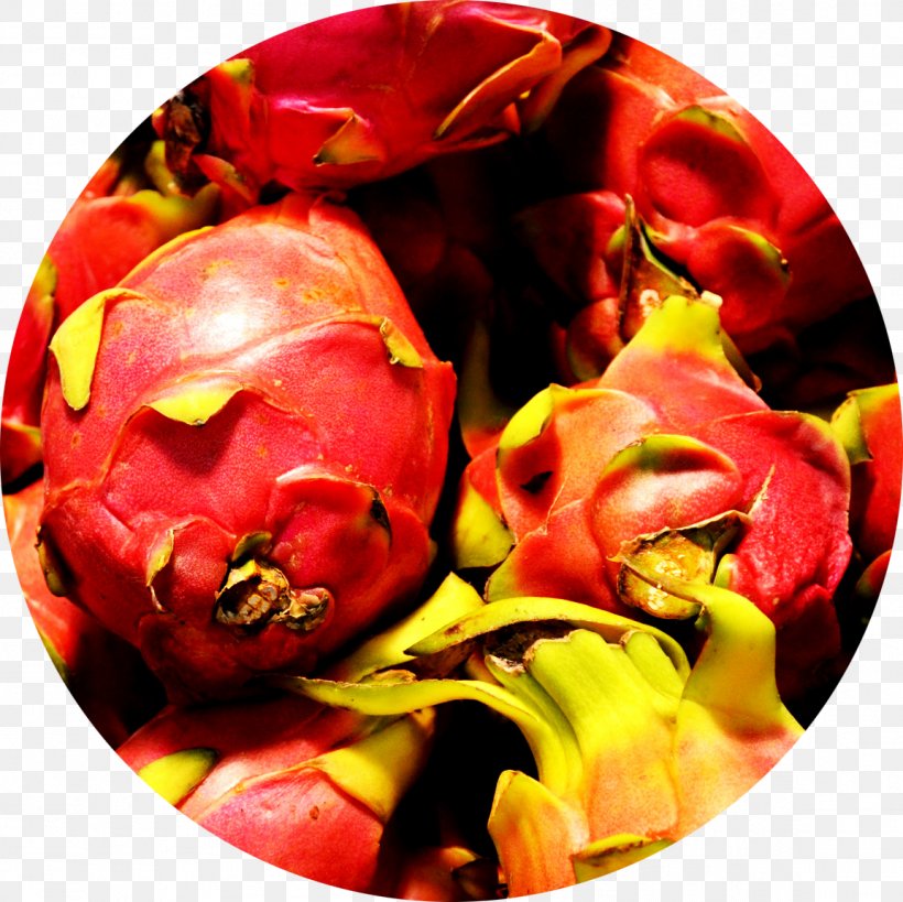 Pitaya Tropical Fruit Passion Fruit Orange, PNG, 1153x1153px, Pitaya, Carambola, Food, Fruit, Fruit Stand Download Free