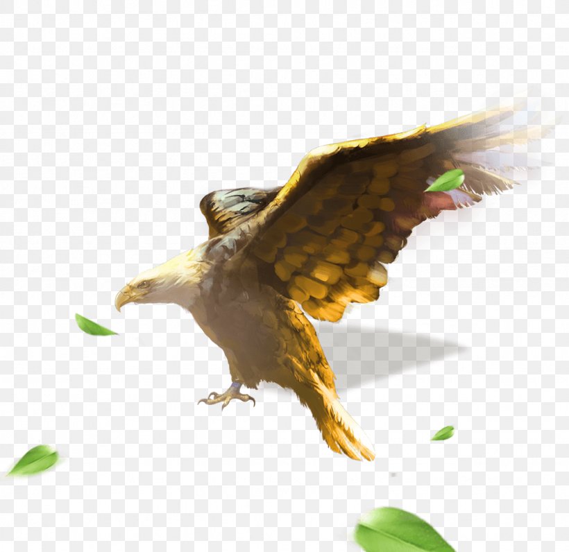 Bald Eagle The Legend Of The Condor Heroes, PNG, 974x946px, Bird, Accipitriformes, Bald Eagle, Beak, Bird Of Prey Download Free