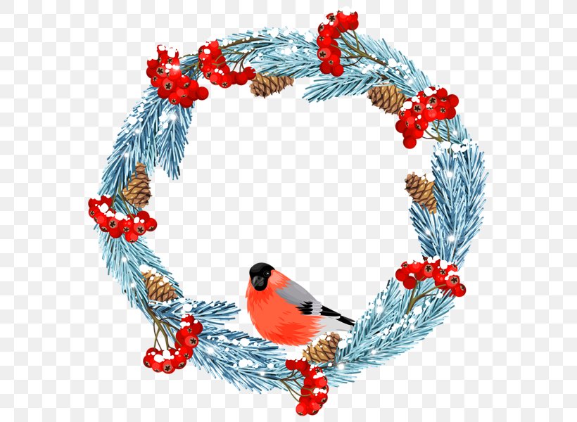 Bird Winter Clip Art, PNG, 586x600px, Bird, Blog, Christmas, Christmas Decoration, Christmas Ornament Download Free