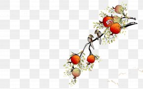 Litchi Tree Branches - Download Display Resolution Wallpaper PNG