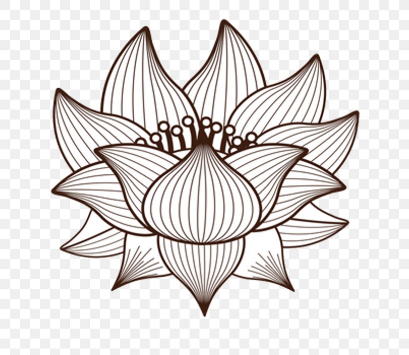 Drawing Nelumbo Nucifera, PNG, 705x713px, Drawing, Artwork, Black And White, Flora, Floral Design Download Free