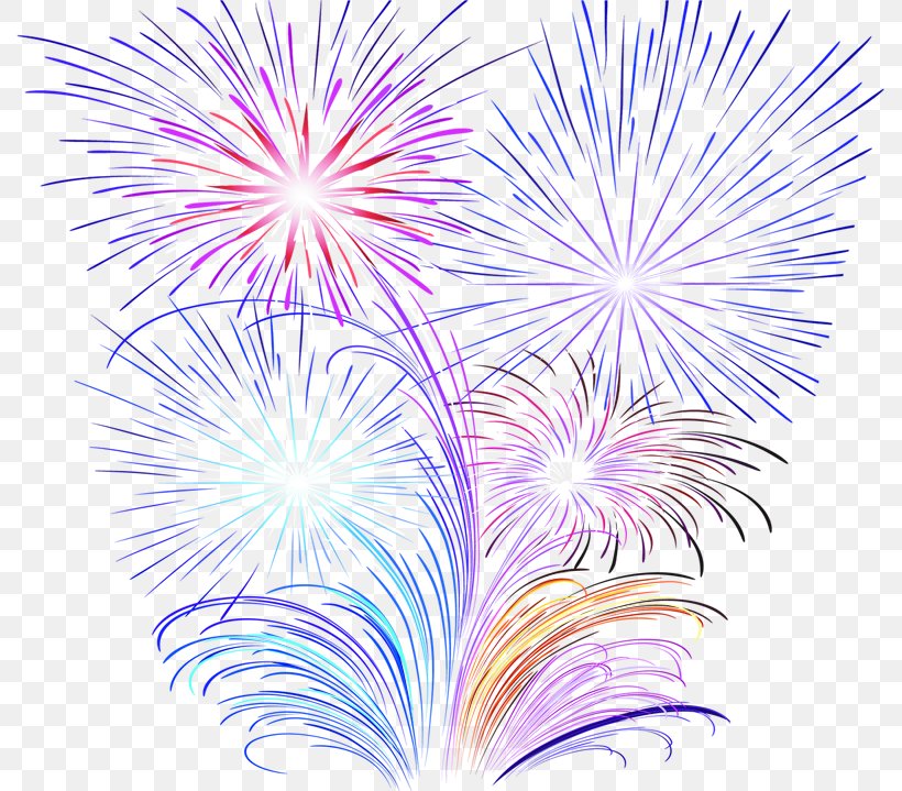 Fireworks, PNG, 789x719px, Fireworks, Adobe Fireworks, Event, Flowering Plant, National Day Download Free