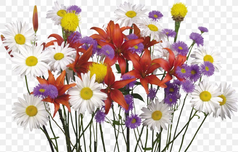 Flower Bouquet Desktop Wallpaper Display Resolution Lilium, PNG, 1200x766px, Flower, Aster, Chrysanths, Color, Cut Flowers Download Free