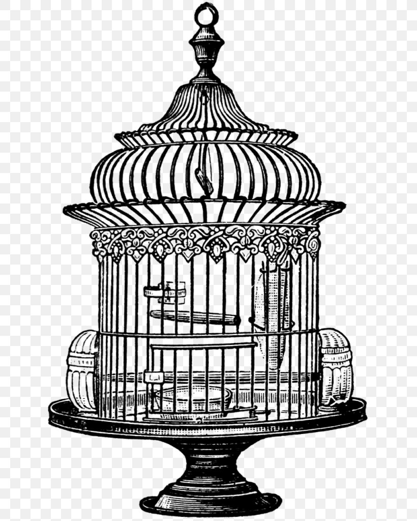 Birdcage Stock Photography Clip Art, PNG, 638x1024px, Bird, Birdcage, Black And White, Cage, Creative Market Download Free