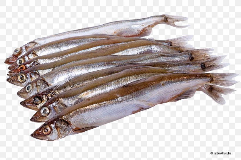 Capelin Fish Products Sardine Stock Photography, PNG, 918x612px, Capelin, Anchovies As Food, Anchovy, Anchovy Food, Animal Source Foods Download Free