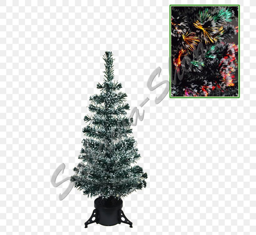 Christmas Tree Spruce Fir Pine Christmas Ornament, PNG, 750x750px, Christmas Tree, Christmas, Christmas Decoration, Christmas Ornament, Conifer Download Free