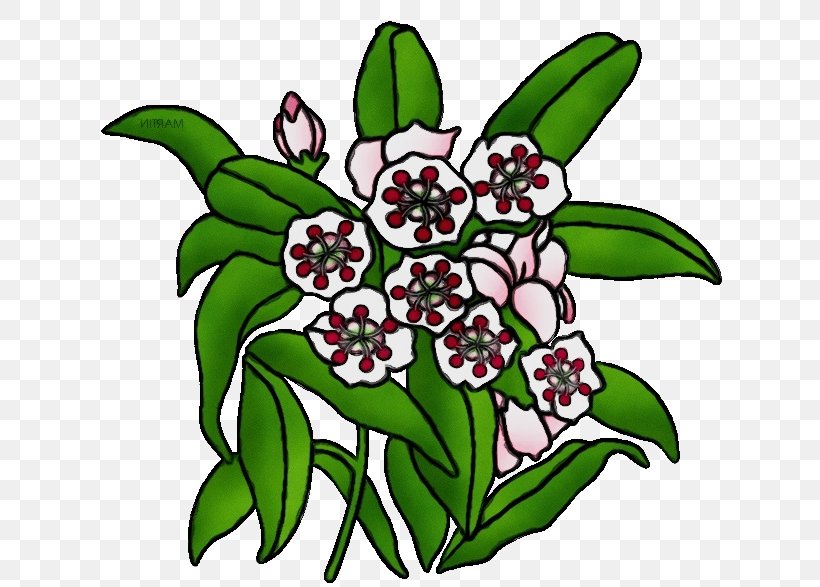 Flower Plant Leaf Petal Herbaceous Plant, PNG, 648x587px, Watercolor, Flower, Herbaceous Plant, Leaf, Paint Download Free