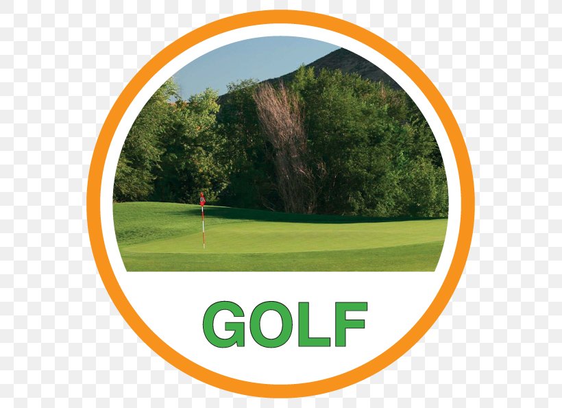 Golf Balls Golf Course Golf Clubs Trávní, PNG, 595x595px, Golf, Area, Brand, Display Resolution, Golf Ball Download Free