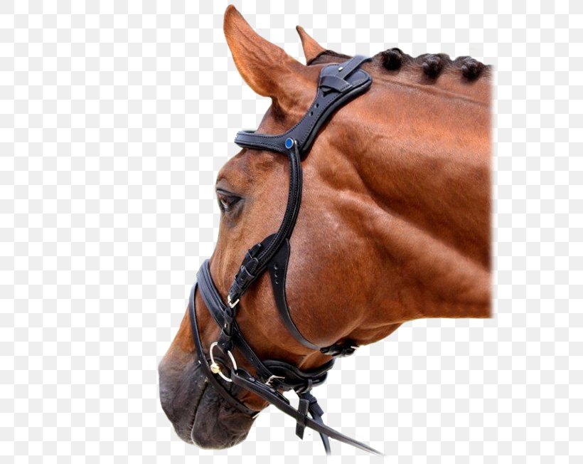 Horse Tack Bitless Bridle Bitless Bridle Png 600x652px Horse Bit Bitless Bridle Breastplate Bridle Download Free