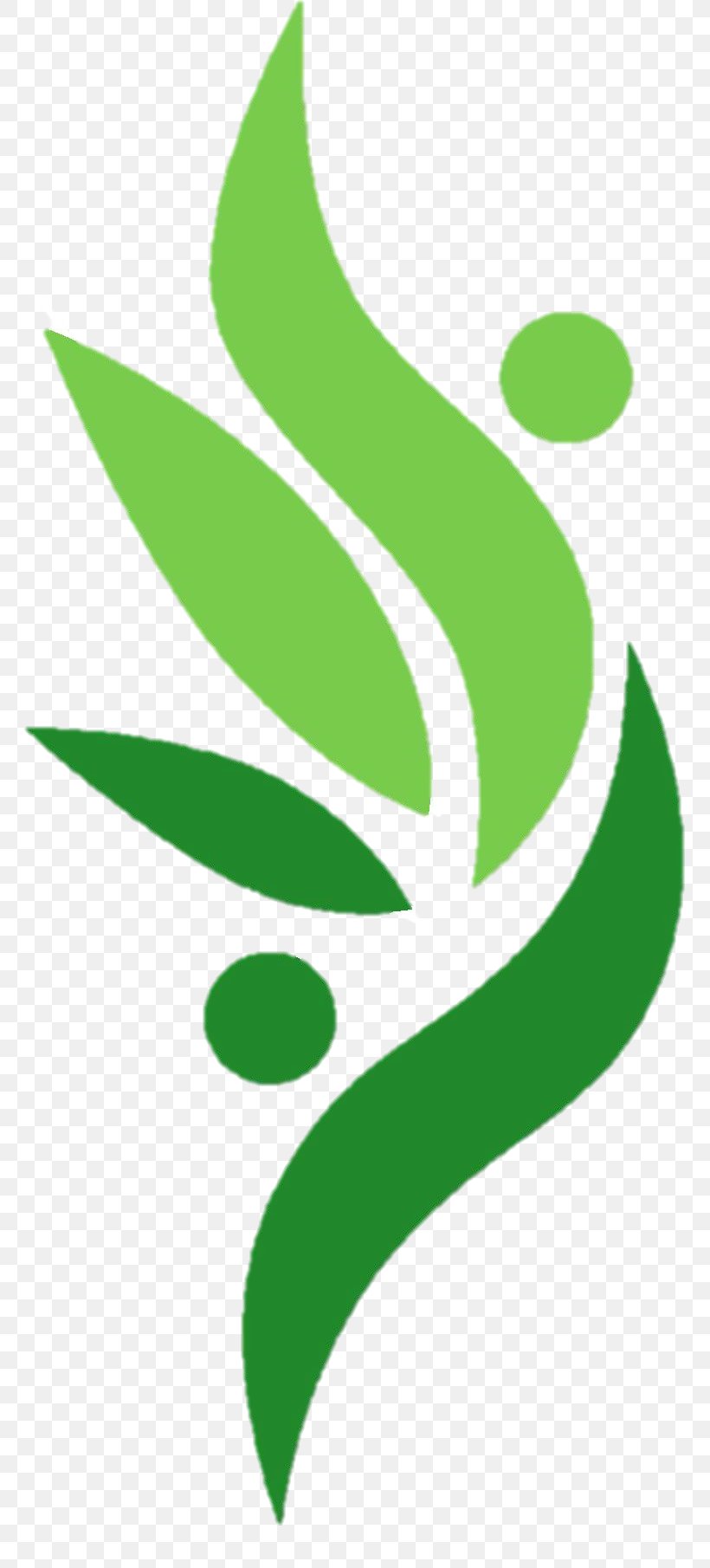 Leaf Green Plant Stem Flower Clip Art, PNG, 763x1810px, Leaf, Flora, Flower, Grass, Green Download Free