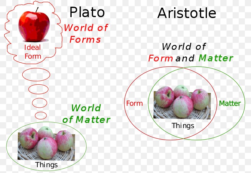 On The Soul Phaedo Hylomorphism Aristotle's Theory Of Universals Theory Of Forms, PNG, 800x566px, On The Soul, Apple, Aristotelianism, Aristotle, Diet Food Download Free
